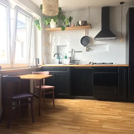 The Shelter Apartment